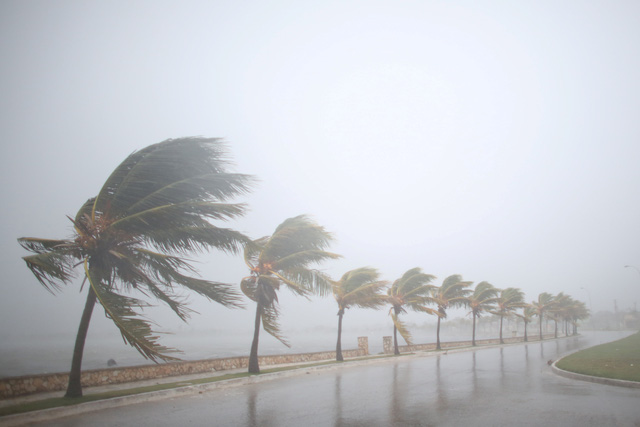 [-]Cuộc[-]di[-]tản[-]tránh[-]bão[-]lớn[-]nhất[-]trong[-]lịch[-]sử[-]bang[-]Florida